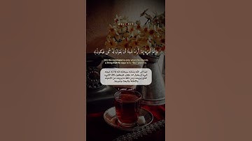 سورة يس عمر الدريويز حالات واتس