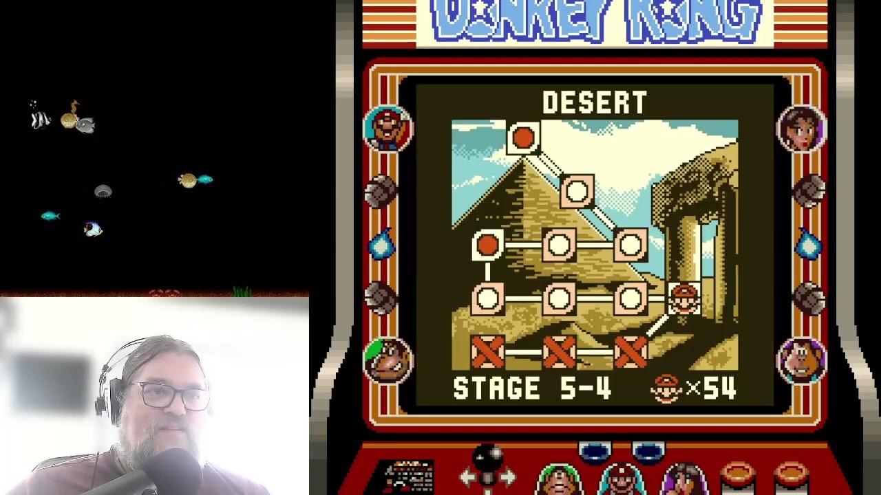 Twinbeard plays Donkey Kong 94 - 5-4