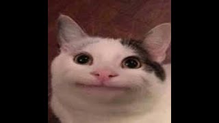 UNUSUAL MEME COMPILATION V12