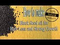 How to make black seed oil at home  hair growth  reduce baldness