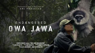 Endangered Owa Jawa