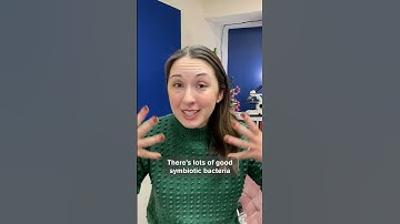 How Dirty Is Your Phone? A Look at the Microbes Under the Microscope | Everyday Awesome