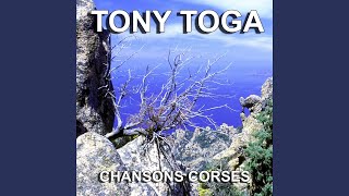 Video thumbnail of "Tony Toga - Un songe avant l'aurore"