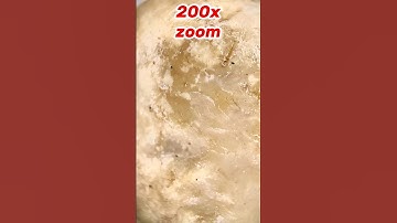 Maximum zoom _ Cashew#amazing #asmr #shorts#macro