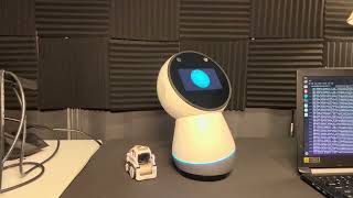 Open Jibo Cloud 1.0.19 Preview | Weather, News, Personality & Pizza 🍕