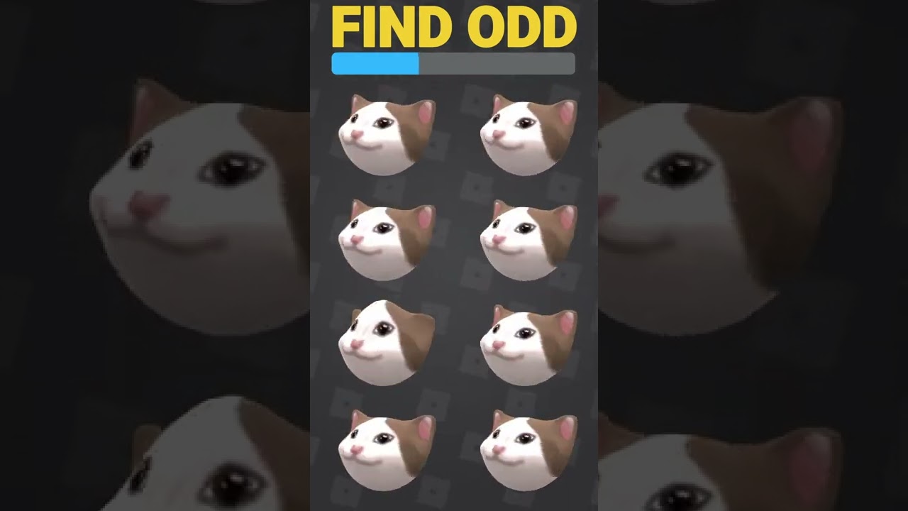 find the ODD POP CAT HEAD 