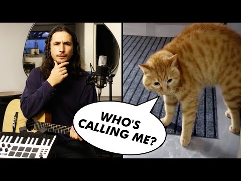 I Need Something (Singing Cat Song) - x Scary Cat