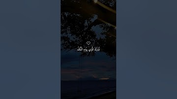 تلاوة خاشعة للشيخ #ماهر_المعيقلي #قرآن #القرآن_الكريم #اكسبلور #quran