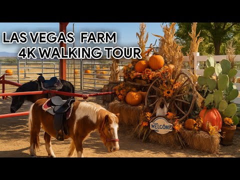 Walking in a Fall Farm Las Vegas | Cozy 4K Walk with Animals