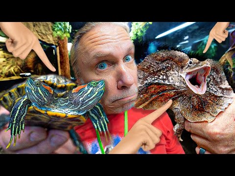 TOP TEN MOST UNUSUAL ANIMALS AT MY REPTILE ZOO!!  BRIAN BARCZYK