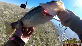 Spring Bass Fishing Is Coming Googan Grass Hero Jig