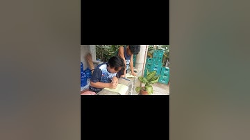 Performance Task: Illustrate a probability distribution of discrete random variable