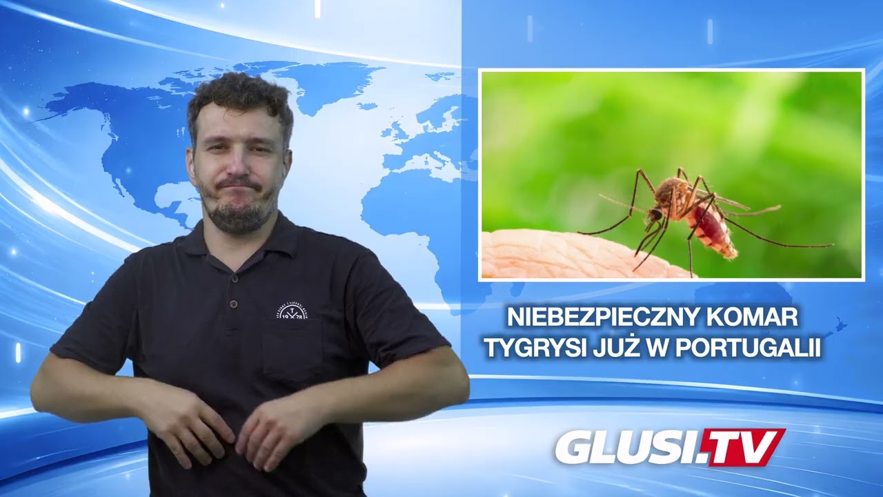 Niebezpieczny komar tygrysi już w Portugalii