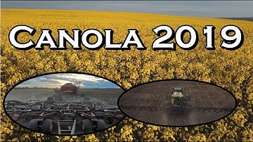 Canola - Seeding to Harvest 2019 - PART 1