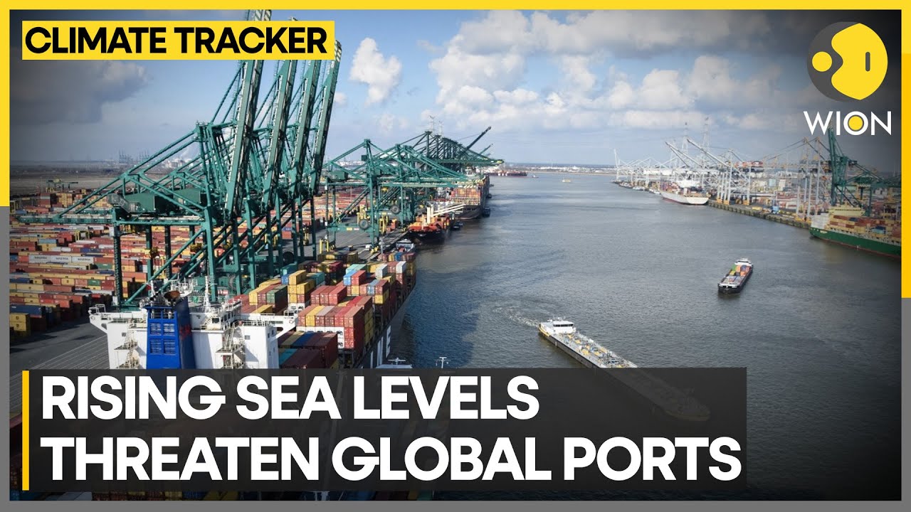 Top ports may be unusable by 2050 without climate action | WION Climate Tracker