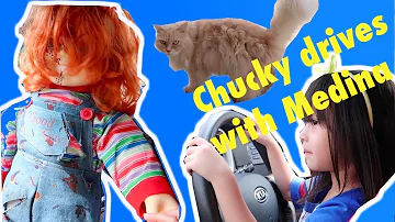 Medina and Chucky drives together! Chucky meets our house cat for the first time!