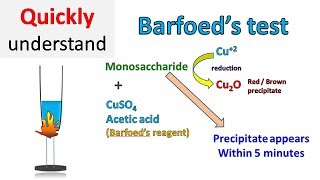 Barfoed test