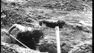 German prisoners dig graves for dead American soldiers in France. HD Stock Footage