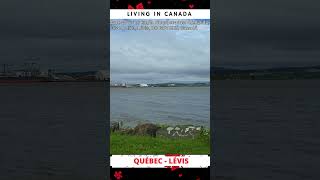 Pure Relaxation: ASMR St. Lawrence River, Quebec Canada (Water Sounds, Sleep, Study) #quebec #asmr