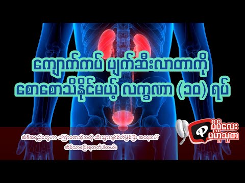 "Popolayဗဟုသုတ"_ကျောက်ကပ်ပျက်ဆီးလာတာကိုစောစောသိနိုင်မယ့်လက္ခဏာ၁၀ရပ်/10 early signs of kidney failure
