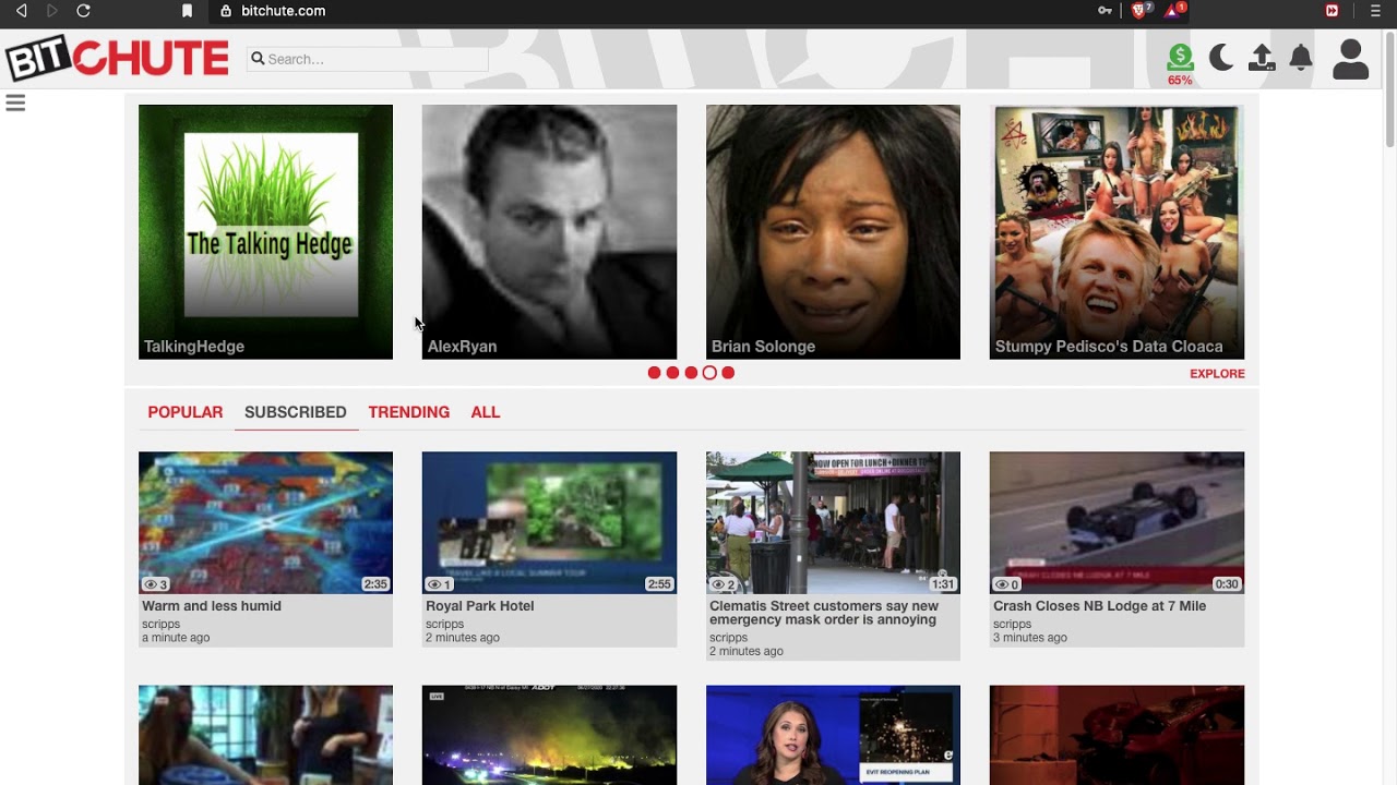 Alt-tech review: Parler, Dlive, Brave Browser, Telegram, LBRY, Bitchute, DuckDuckGo