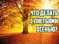 Что делать с опавшими листьями осенью / Компостная куча / Как повысить плодородие почвы