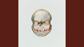 Another Development With A Grid Of Streets And A Shopping Center Heart