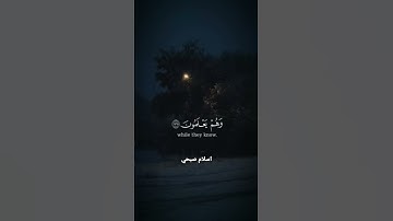 والذين إذا فعلوا فاحشة أو ظلموا أنفسهم ذكروا الله... القارئ اسلام صبحي