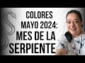 COLORES PARA MAYO 2024, MES DE LA SERPIENTE | Mónica Koppel Feng Shui