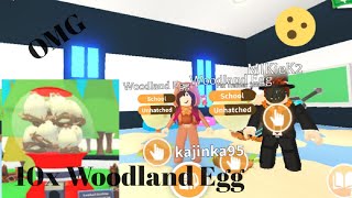 Rozbalila jsem 10x Woodland Egg! | Roblox Adopt Me!