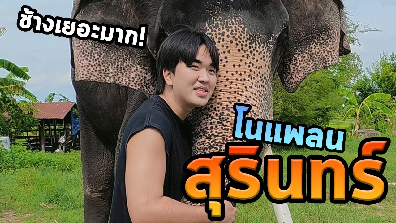 สุรินทร์ครั้งแรกแบบโนแพลน! สงบแต่สนุก!