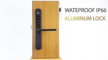 Tuya WiFi Electronic Digital Fingerprint Smart Door Lock