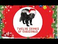 Little Stinkers Ep. 3 -  Twelve Stinks of Christmas ft. Kim!