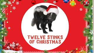 Little Stinkers Ep. 3 -  Twelve Stinks of Christmas ft. Kim!