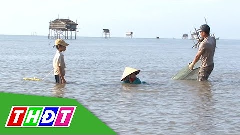 THDT - Nghề cào nghêu - Ngõ ngách miền Tây