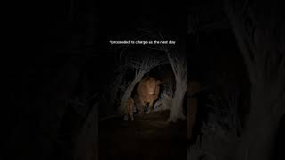 "fiancé rancher" thought this video needed a voiceover and took it into his own hands🤪