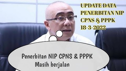 Update Data penerbitan NIP CPNS & PPPK 2021 (18-3-2022) // Kapan Terima SK CPNS?