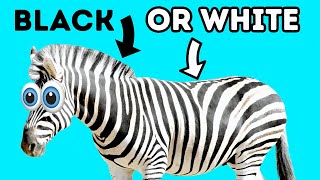 100+ Wildly Interesting Animal Facts You Haven't Heard Before