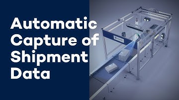 3D Volume Measurement with VIPAC IN-MOTION - the Fully Automated Data Capture System | VITRONIC