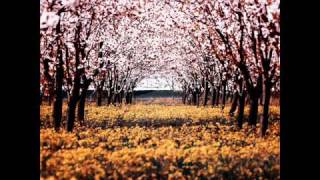 Beethoven "Spring" sonata