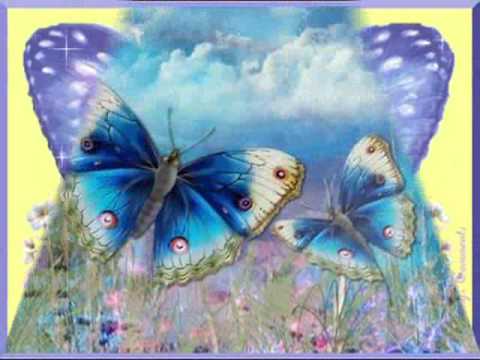 Butterfly - Danyel Gerard. - YouTube