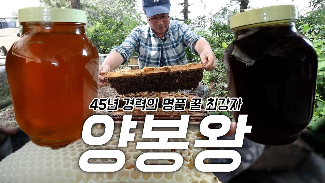 45년 동안 벌 키우면서도 매일매일 공부해서 연매출 1억 그냥 찍는 사장님의 하루 [출근부터 퇴근까지]