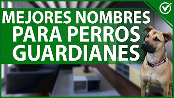 ¿Cuál es el mejor nombre para un perro guardián?