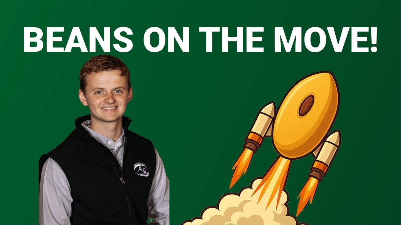 Beans on the Move! What Sparked Yesterday's Surge | Grain Talk February 5th, 2026