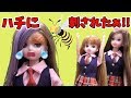 リカちゃん 人形 アニメ☆つばさちゃんがハチに刺されちゃった!!☆おもちゃ ハウス おもしろ あんりかめる