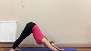 Yoga for Beginners - 20 Minute Home Yoga Class screenshot 4