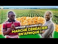 Jai quitt les etatsunis pour vivre le rve africain  interview philippe simo  investiraupays