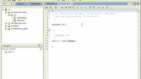 Oracle Netbeans 6.9, generar getters y setters
