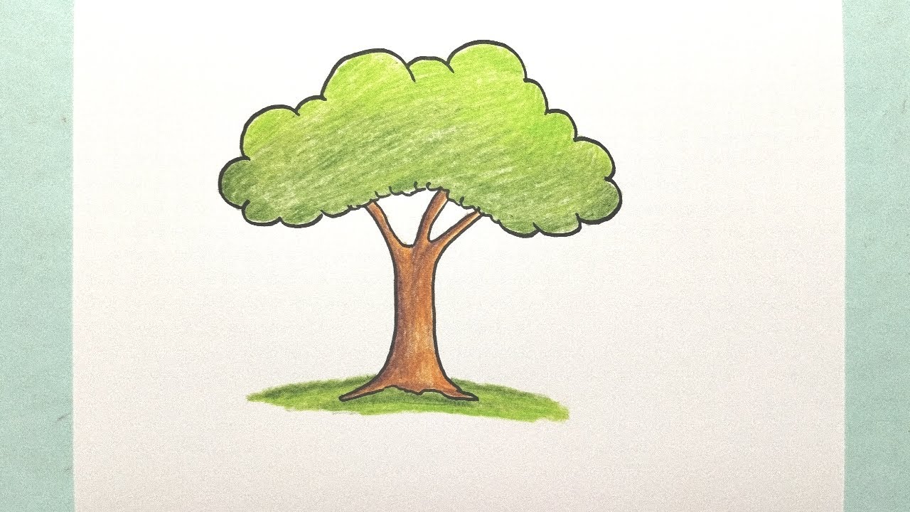 How to Draw a Tree - Cute Tree Drawing - YouTube