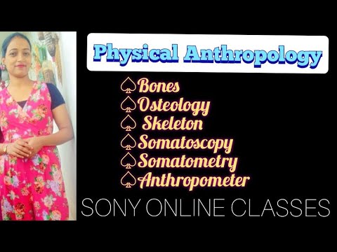 Physical Anthropology/Bones/Osteology/Skeleton/Somatoscopy/Somatometry/Anthropometer